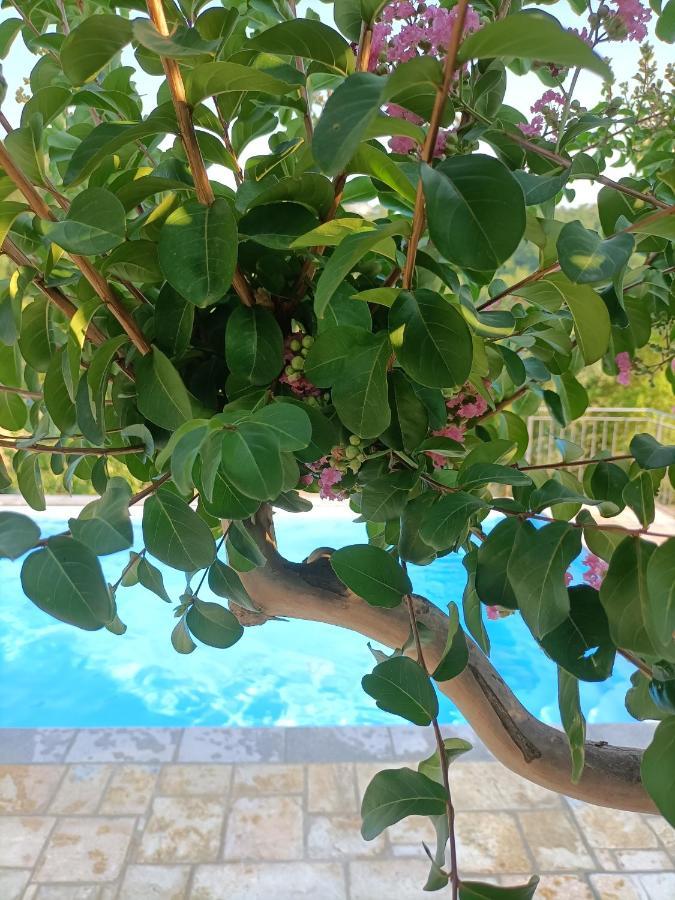 B&B Villa Ginevra Pietralunga  Ngoại thất bức ảnh